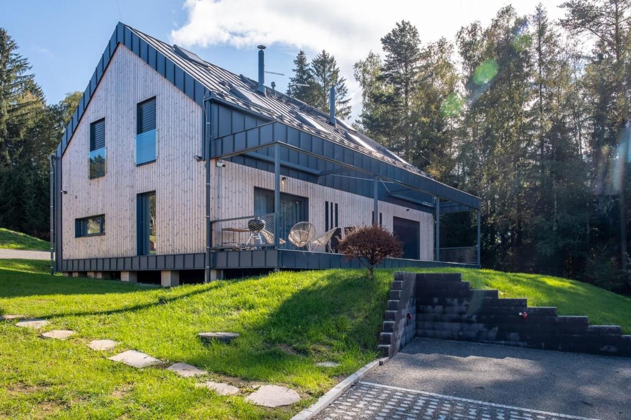 Holiday House U Hajenky 13P Lipno Home Липно-над-Влтавой Экстерьер фото